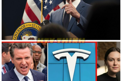 🙊 Tesla’s Shutdown: The Economic Earthquake Shaking California’s Future 🌪️💔  In a stunning corporate maneuver, Tesla’s abrupt decision to halt its Fremont expansion has sent shockwaves through California’s economy, revealing the dark underbelly of regulatory burdens and rising costs that threaten the state’s green revolution. As the electric vehicle giant walks away from a project that aligned with California’s climate goals, the implications are dire—thousands of jobs lost, billions in tax revenue vanished, and a manufacturing landscape in peril. This is more than just a business decision; it’s a harbinger of a larger crisis as small businesses and suppliers brace for a devastating ripple effect. With the clock ticking and the stakes higher than ever, who will take responsibility for this unfolding disaster, and what does it mean for the future of jobs and climate policy across the nation? 👇