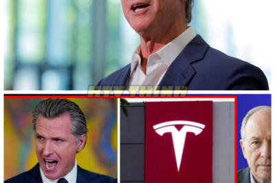 🙊 Tesla’s Shocking Shutdown: California’s Economy on the Brink of Collapse 🔥⚠️ In a dramatic twist that could reshape California’s manufacturing landscape, Tesla has abruptly halted its expansion plans at a major factory, sending shockwaves through the state’s economy. This unexpected decision raises urgent questions about the regulatory environment and policy decisions that led to the loss of thousands of jobs and billions in tax revenue. As the ripple effects of this closure begin to unfold, the clock is ticking for other manufacturers contemplating similar moves, leaving communities on edge. With California’s economic future and climate goals hanging in the balance, what will this mean for the state’s workforce and its ambitions for sustainable growth? 👇