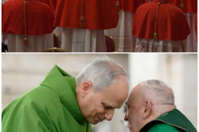 Pope Leo XIV Shocks the Church: Bishop Declines Cardinalship and Resigns!