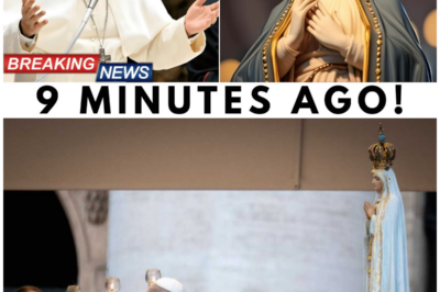 Pope Leo XIV’s Shocking Revelation: What Mary Told Him Will Change How You Pray Forever!