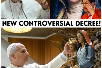 Pope Leo XIV’s Shocking Decree: Mary’s Role Redefined in a Bold New Statement!