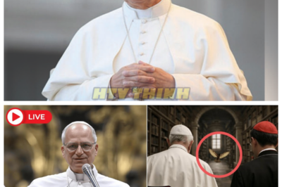 🙊 The Stray Bird’s Secret: Pope Leo XIV’s Journey to Hidden Truths 🕊️🔍  When a stray bird unexpectedly leads Pope Leo XIV and Cardinal Tagle to a forgotten library within the Vatican, they uncover ancient texts that challenge everything they believe about faith and leadership. As they delve deeper into the dusty tomes, they are faced with revelations that could either rejuvenate the Church or plunge it into chaos. With a ticking clock and the weight of their spiritual responsibilities pressing down on them, the two men must confront their own fears of spiritual dryness and doubt. Will the wisdom hidden within these pages guide them toward a transformative awakening, or will it expose the fragility of their faith? As the shadows of the past loom large, the question remains: can they harness this newfound knowledge to heal the Church, or will they become lost in the very darkness they seek to illuminate? 👇