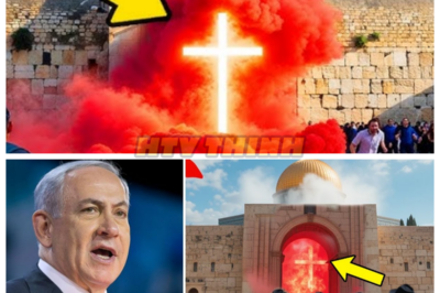 🙊 The Sealed Gate of Jerusalem: A Divine Warning or a Sinister Deception? 🔍⚡  In the heart of Jerusalem, an ancient sealed gate has begun to move, igniting fervent speculation about its significance as a divine sign of Christ’s imminent return. As a group of devoted believers gathers to unravel the mystery, they face escalating tensions and unforeseen dangers that threaten their faith and lives. With a ticking clock counting down to a prophetic event, the stakes rise as dark forces conspire to manipulate their beliefs for a sinister agenda. Will they uncover the truth before it’s too late, or will their quest for answers lead them into a web of deception and despair? 👇