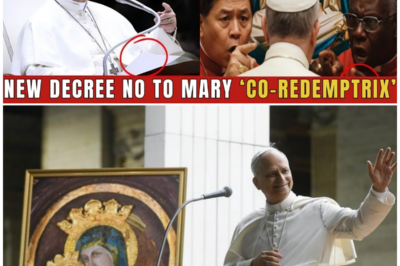 Pope Leo XIV’s Stunning Rejection of Mary’s Title Sparks Worldwide Uproar and Vatican Turmoil!