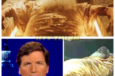 🙊 Unearthed Secrets: The Terrifying Discovery Inside Moses’ Tomb That Shakes Faith 🔍⚡  In a shocking turn of events, archaeologists have uncovered a mysterious artifact within the ancient tomb of Moses, igniting a firestorm of fear and controversy among religious communities worldwide. As whispers of a dark prophecy begin to circulate, believers are left questioning their faith and the very foundations of their beliefs. With time running out and unseen forces at play, the team must race against a ticking clock to unravel the truth behind this chilling discovery. What lies within the shadows of history, and will it forever alter the course of humanity? 👇