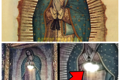 🙊 The Hidden Secrets of Our Lady of Guadalupe: Unveiling the Miraculous Truth 🔍✨ For nearly 500 years, the image of Our Lady of Guadalupe has captivated millions, but what lies beneath its sacred surface is a chilling mystery waiting to be uncovered. As scientists and historians delve into the inexplicable colors and the miraculous survival of the tilma, they stumble upon a web of ancient symbolism that challenges the very fabric of faith. With a ticking clock as the world grapples with modern crises, the deeper truths of this iconic image may hold the key to understanding humanity’s collective struggle for hope and redemption. What dark forces could be at play in this miraculous tale, and how will the revelations reshape our beliefs? The answers may be more profound—and unsettling—than we ever imagined. 👇