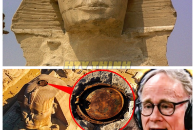 🙊 Secrets of the Sphinx: The Hidden Hatch Unleashes Ancient Terror 🏺🔍 In a groundbreaking revelation, scientists have finally opened a secret hatch atop Egypt’s ancient Sphinx, revealing a hidden tunnel that has remained untouched for millennia. As the team descends into the darkness, they uncover artifacts and inscriptions that could rewrite history, but with every step deeper into the Sphinx’s belly, they awaken an unsettling presence that has lain dormant for ages. The clock is ticking as they race against time to decipher the mysteries within before the ancient powers they disturb unleash chaos upon the modern world. With global attention focused on their every move, the researchers must confront the haunting question: what ancient forces have they awakened, and are they prepared for the consequences? 👇
