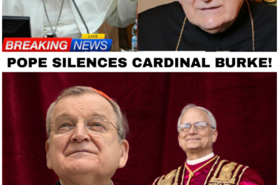 Pope Leo XIV’s Shocking Showdown with Cardinal Burke Over Fatima’s Hidden Secrets!