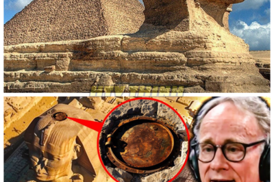 🙊 The Sphinx’s Secret: Unlocking the Darkness Beneath Egypt’s Guardian 🐉⚡  When a team of daring scientists finally breaches the long-rumored hatch atop the Great Sphinx of Giza, they stumble upon a hidden tunnel filled with cryptic hieroglyphs and relics from a forgotten era. As they delve deeper, they uncover truths that challenge the very fabric of history, but their exploration awakens something sinister lurking in the shadows. Time is of the essence as they grapple with the implications of their discovery, knowing that each revelation could plunge them further into danger. With the world watching and skepticism mounting, the researchers must ask themselves: are they ready to face the dark legacy of the Sphinx, or will they become its next victims? 👇