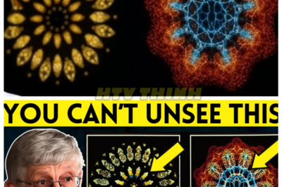 🙊 The Hidden Truth: Science, Faith, and the Ultimate Betrayal of Belief 🔍⚡  In a world where faith and reason collide, renowned scientist Francis Collins reveals the shocking evidence that led him to embrace belief in Jesus Christ. Set against a backdrop of escalating societal skepticism, Collins races against time to dismantle the growing divide between science and spirituality. As he delves deeper into the mysteries of existence, he uncovers dark secrets that threaten not only his newfound faith but also the very fabric of reality. Will the truth set him free, or will it lead to his ultimate downfall?