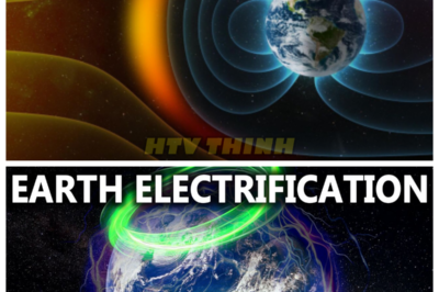 🙊 Unveiling the Storm: What Science Fears to Reveal About Our Planet 🌍💥 A catastrophic magnetic storm has unleashed chaos across the globe, and as the dust settles, whispers of a massive cover-up begin to surface. Scientists are racing against time to contain the fallout, but the deeper they dig, the more unsettling truths emerge—truths that challenge everything we know about our planet and its vulnerabilities. With communication systems failing and widespread panic gripping the populace, the urgency to unveil the hidden dangers intensifies. As the storm rages on, one chilling question remains: what dark secrets lie beneath the surface, and can humanity endure the truth that threatens to shatter our reality? 👇