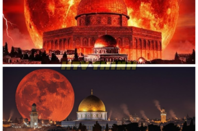 🙊 The Forbidden Prophecies: Are We Living in Enoch’s Darkest Hour? 🔍⚡  In a world teetering on the brink of chaos, seven ancient prophecies attributed to the long-shunned prophet Enoch resurface, revealing dire warnings that could spell doom for humanity. As global events unfold in startling alignment with these ominous predictions, a desperate race against time ensues to decipher their meaning before it’s too late. With each revelation, the stakes rise, threatening not only the fabric of society but also the very lives of those who dare to seek the truth. Are we witnessing the final signs of judgment, or is it merely the beginning of an even darker chapter? The clock is ticking, and the shadows grow deeper—who will survive to uncover the truth? 👇