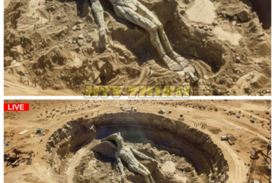 🙊 Unveiling the Watchers: Ancient Secrets and Modern Discoveries Collide 🌌🔍  For millennia, humanity has whispered about the enigmatic beings known as the Watchers—mysterious entities said to have fallen from grace and left their mark on Earth. Recent discoveries have shattered the boundaries between myth and reality, revealing physical evidence that these beings may still walk among us. As researchers delve into ancient texts and unearth startling artifacts, a chilling question arises: what if the Watchers never truly disappeared? With time running out and the stakes higher than ever, can humanity confront the terrifying truth of their existence before it’s too late? 👇