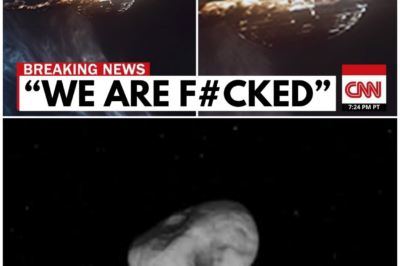 🦊 NASA BREAKS ITS SILENCE: WHAT THEY JUST CONFIRMED ABOUT 3I/ATLAS HAS SCIENTISTS ON EDGE 🚨🌌