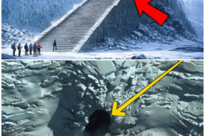 🦊 “THIS DOESN’T FIT ANY MODEL”: STRANGE STRUCTURES AND UNUSUAL ACTIVITY NEAR ANTARCTICA SPARK GLOBAL DEBATE 👀🌍