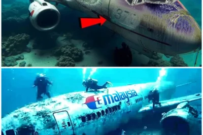 The Truth About MH370: Underwater Drone Finally Uncovers the Location of the Missing Plane After 11 Years After over a decade of mystery, MH370 has been found—but not in the way anyone expected. An underwater drone has just uncovered the wreckage of Malaysian Flight MH370, a discovery that has stunned the world and finally answers some of the questions that have haunted aviation experts and loved ones of the passengers for over 11 years. But what does this discovery truly reveal about the flight’s disappearance, and what shocking details have emerged from the wreckage? This is the moment the world has been waiting for—and the truth might be darker than anyone anticipated.  👇