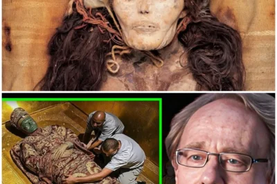 The 3,500‑Year‑Old Chinese Mummy With Impossible DNA That Has Scientists Reeling In the dusty silence of an ancient tomb in western China, archaeologists made a discovery so shocking, so utterly inexplicable, that the world of science is scrambling to make sense of it all; what they unearthed was a 3,500‑year‑old mummy whose genetic blueprint does not match a single known modern population on Earth, leaving experts stunned, baffled, and whispering about lost lineages that never should have existed; this isn’t just another old mummy with broken bones and faded wrappings — the DNA extracted from its bones contains genetic markers that defy everything we know about human migration, ancestry, and prehistoric contact between East and West; for decades scientists have pieced together the prehistoric puzzle of how early humans spread across continents, mapping genetic ties from Africa into Europe and Asia, but this mummy’s genome sits in a ghostly corner of the tree of life, as if a long‑forgotten branch of humanity has been unearthed, a branch that doesn’t match Uyghurs or Han or any other living group; some researchers now propose that this individual belonged to an isolated, vanishing population that left no descendants, or perhaps a group that once mixed with unknown outsiders from distant lands; this discovery raises explosive questions: Were there prehistoric migrations that textbooks have completely missed? Did ancient humans once traverse vast distances earlier than believed? Was there contact between populations we thought were isolated? The implications are enormous, not just for genetics, but for anthropology, archaeology, and the story of what it means to be human; critics caution that contamination or modern admixture could explain the strange results, but repeated testing has confirmed the unusual signature, and a growing faction of scientists is now arguing that this find could rewrite the prehistory of Eurasia; as researchers pore over data, the public is captivated by the possibility that a forgotten chapter of human history — a chapter with a people we never knew ever existed — has been unearthed, and that the silent bones of this ancient corpse may hold the key to an entirely new understanding of where we all came from 👇