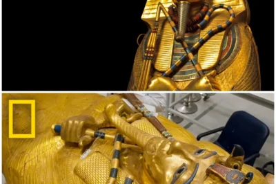 Ancient Egypt’s Royal Secrets Finally Exposed: What Archaeologists Just Found Will Change Everything Hidden beneath the sands of time, ancient Egypt has kept its royal secrets locked away for millennia. But now, the most astonishing discoveries are being unveiled—secrets that could completely rewrite the history of Egypt’s most powerful rulers. Archaeologists have unearthed treasures, artifacts, and royal documents that reveal the truth about Egypt’s dynastic power, shattering everything we thought we knew about the pharaohs, their reigns, and the extraordinary wealth they accumulated. What lies buried deep within Egypt’s tombs, waiting to reveal itself to the world? The revelations are shocking, and some may even challenge the very foundations of Egyptian history itself. These lost treasures aren’t just about gold and jewels—they’re about the unspoken legacies of the rulers who shaped the world. 👇