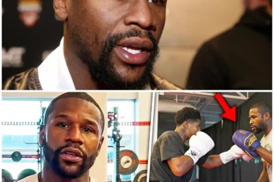 Floyd Mayweather Shocks Fans With First Words After Training With Shakur Stevenson—Does He See Lopez as Easy Prey? In an exclusive and shocking moment, Floyd Mayweather gave his first take after training with Shakur Stevenson ahead of Teofimo Lopez’s fight. Mayweather, who is never short of words, spoke about the intensity of the training session and what it revealed about Stevenson’s potential. But it’s his comments on Lopez that are causing the most stir. Mayweather doesn’t mince words, and his take on Lopez’s chances against Stevenson might just suggest that he sees a flaw in the defending champion. Was this a subtle jab at Lopez or a testament to Stevenson’s growing skill? What does this mean for the fight? The world is watching, and Mayweather’s cryptic words may change everything.  👇