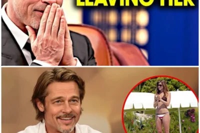 “Brad Pitt’s Heartbreak Revelation: The One Woman Who Still Holds His Heart Captive!” In a stunning revelation that feels straight out of a Hollywood script, Brad Pitt has finally admitted that there’s one woman who has always held his heart captive—even after all the glitz and glamour of his star-studded life! This shocking confession has fans and critics alike buzzing, as it unveils a tale of passion, heartbreak, and the relentless pursuit of true love amidst the chaos of fame. As we unravel the layers of this emotional saga, prepare for unexpected twists and jaw-dropping moments that will leave you questioning the very nature of love in the unforgiving world of Hollywood! Who is this captivating woman that still haunts his dreams? The answers will astound you! 👇