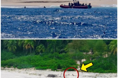 “Cursed Island: Coast Guard’s Terrifying Brush with the Supernatural!” In a shocking twist of fate, a coast guard crew stumbles upon three mysterious figures on a deserted island, only to be met with a violent storm that threatens their very lives. As they delve deeper into the island’s secrets, they uncover a chilling history that could spell doom for them all. Are these figures victims or something more sinister? Get ready for a story that will leave you breathless! 👇