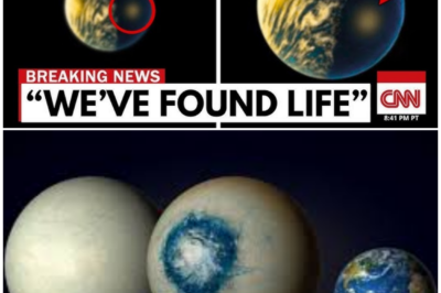 🦊 BREAKING COSMIC BOMBSHELL: JAMES WEBB DETECTS A “FULLY HABITABLE” PLANET—AND SCIENTISTS ARE STUNNED 🌍🚨