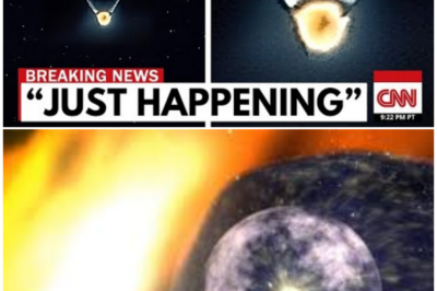 🦊 NASA PANICS AS VOYAGER 1 SENDS “IMPOSSIBLE” SIGNAL FROM BEYOND REALITY AFTER 45 YEARS LOST IN DEEP SPACE 🚨