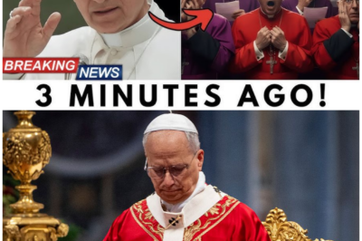 🦊 “VATICAN IN UPROAR”: The Closed-Door Meeting That Exploded After Pope Leo XIV Spoke These Words ⛪🚨