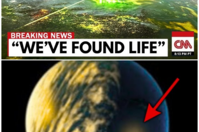 🦊 “THIS CHANGES EVERYTHING”: James Webb Telescope Catches a ‘Too-Perfect’ Planet That Scientists Are Afraid to Explain 🌍🚨