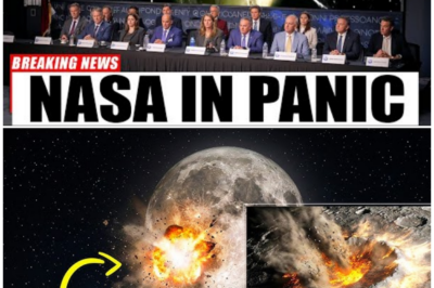 🦊 LIVE ON CAMERA: A MYSTERIOUS OBJECT JUST SMASHED INTO THE MOON WITHOUT WARNING—AND SCIENTISTS WERE WATCHING IN REAL TIME 😱🌕