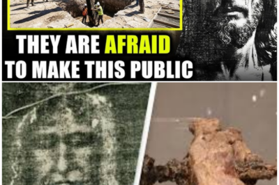 🦊 9 IRREFUTABLE PROOFS JESUS REALLY WALKED THE EARTH — HISTORIANS SHAKEN, SKEPTICS STUNNED, SILENCE GETS LOUD ✝️