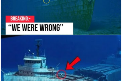 🦊 THE SHIP THAT SHOULD HAVE STAYED BURIED: Terrifying Footage from the Edmund Fitzgerald Will Haunt Experts for Years 🚨
