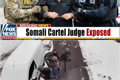 ICE & FBI Raid Somali Law Firm in Minneapolis — 400 Arrests, 28 Dirty Cops & $50M Fentanyl SEIZED