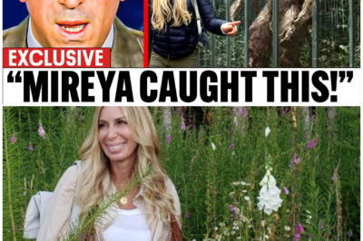 🦊 BREAKING CRYPTID SHOCKER: Mireya Mayor Finally Finds Bigfoot—The Discovery That Experts Don’t Want You to See ⚠️🌲