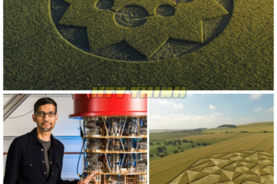Quantum AI Examines a New Crop Circle—and the Results Immediately Alarm Scientists 😱🌀 What began as a routine data run spiraled into stunned silence as the system flagged mathematical structures and energy patterns that don’t behave like human design, forcing experts to backpedal in public while privately admitting this formation crossed a line they weren’t prepared to explain—so if this wasn’t made by pranksters, who was it really meant for?👇