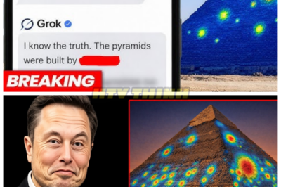 Grok AI Just Revealed the TRUE Purpose of the Pyramids—and It’s More Shocking Than Anyone Imagined 😱🔺 What was once debated by archaeologists and dismissed by skeptics is now presented as fact by Grok AI, and the truth behind the pyramids’ construction will blow your mind. This isn’t about tombs or kings—it’s something far more profound, challenging everything we thought we knew about ancient civilizations. What if these monumental structures were designed for a purpose far beyond our understanding?👇
