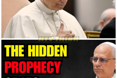 Pope Leo XIV Just REVEALED Why He Chose His Name—And the Hidden Prophecy Will Leave You SHOCKED! 😱📜 What seemed like a traditional papal name choice is actually tied to a shocking, long-hidden prophecy that could reshape the future of the Church. Pope Leo XIV’s revelation sent shockwaves through the Vatican as he explains why this name was always meant to be—and the ancient prediction that came with it. What truth does this prophecy hold, and why is it just coming to light now?👇
