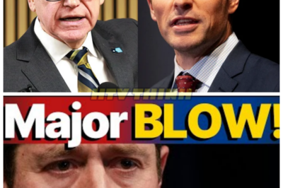 🔥 DEMOCRATS LEFT REELING AS MINNESOTA COUNTY SHERIFF SIDES WITH ICE, DEALING A POLITICAL BODY BLOW THAT SHAKES A BLUE STRONGHOLD TO ITS CORE 🧨🤯 | In a twist straight out of a political thriller, when the sheriff of a key Minnesota county publicly urged cooperation with federal immigration agents amid fiery protests and fatal ICE-related shootings, Democratic leaders found themselves scrambling for control, slamming rhetoric, and facing a backlash that feels less like disagreement and more like betrayal 👇