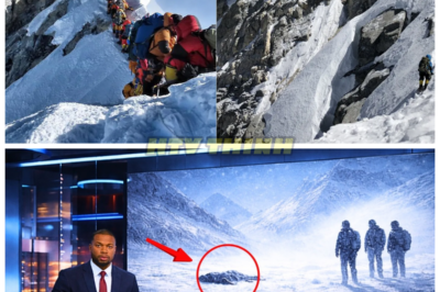 Mount Everest CLOSED Down—What’s Happening on the Mountain Now Will TERRIFY You! 🏔️😱 In an unprecedented move, Mount Everest has been officially closed down, and what’s happening up there is sending shockwaves through the world. Climbers, tourists, and experts are reporting things so chilling, no one can explain them. The peak of the world is now a dangerous, silent place, and what’s been uncovered is more terrifying than anyone expected. Is this the beginning of something far worse? Get ready for the shocking truth that no one wants to believe…👇