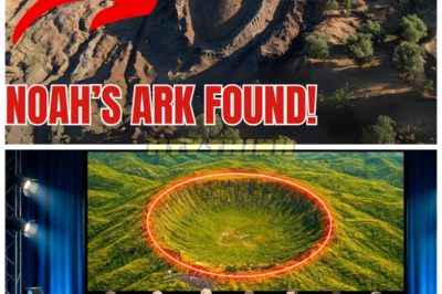 Archaeologists Open Noah’s Ark in Turkey—What They Found Inside Will SHOCK Your Faith! 🛶🌍 In a historic moment, archaeologists in Turkey have finally opened what they believe to be Noah’s Ark—and what they uncovered defies all logic. The discovery inside has left experts speechless and questioning everything they knew about ancient history and biblical truths. What was hidden in the Ark has shaken the foundations of science and faith alike. The answers found inside are more mind-blowing than you could ever imagine…👇