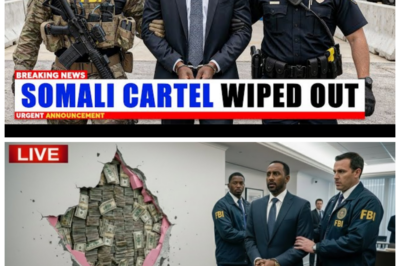 🐶 EXPLOSIVE RAID: FBI & ICE STORM MINNEAPOLIS NON-PROFIT — SOMALI CEO HID $250 MILLION IN CASH BEHIND WALLS! In a jaw-dropping operation that feels like something out of a crime drama, the FBI and ICE have raided a Minneapolis non-profit, uncovering a staggering $250 million in cash hidden within the walls! This shocking revelation not only exposes a web of deceit but also raises alarming questions about corruption and the misuse of charitable organizations. What dark secrets lie behind this elaborate scheme, and how will it impact the community? Get ready for the sensational details that will leave you breathless! 👇