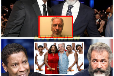 Denzel Washington & Mel Gibson Unite — Their Explosive Claims About Hollywood’s Epstein Scandal Are Igniting a Firestorm 🔥🎬 In a moment that has the entertainment world buzzing, Denzel Washington and Mel Gibson are being linked to bold conversations about Hollywood’s past ties to Jeffrey Epstein. While no formal accusations were made, their comments about transparency, accountability, and powerful networks have fueled intense online speculation. Are they exposing hidden truths—or simply demanding deeper scrutiny of past associations? Either way, the industry isn’t staying quiet about it. 👇