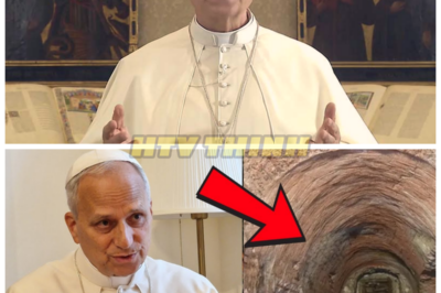 Pope Leo XIV Confirms Hidden Chamber Beneath St. Peter’s Basilica—The Vatican’s Deepest Secret Finally Exposed! 😱⛪ In a stunning announcement from Rome, Pope Leo XIV confirmed the discovery of a hidden chamber beneath St. Peter’s Basilica, sending shockwaves through the Catholic world. For centuries, rumors whispered of secret spaces buried under the sacred floors—but now the Vatican itself acknowledges something was there all along. What lies inside this chamber, and why was it concealed for so long? The mystery beneath the basilica just became very real… 👇