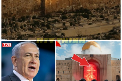 The SEALED GATE of Jerusalem Is MOVING? Pilgrims Stunned as Ancient Prophecy Rumors Explode! 😱🕊️ Whispers are spreading fast: the long-sealed gate of Jerusalem is “moving,” and stunned onlookers are pointing to ancient prophecies about a triumphant return. Videos and shaky photos have fueled speculation, while experts urge caution and context. Is this a structural shift, a restoration detail, or a symbolic moment magnified by rumor? Whatever the explanation, the buzz has reignited end-times debates across the globe. 👇