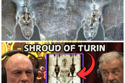 🕊️🔥 “THE EVIDENCE CHANGES EVERYTHING!” — Joe Rogan Left Reeling as Mel Gibson Points to Ancient Clues, Forgotten Texts, and Archaeological Finds That “Prove” Jesus Was Real — What began as a casual exploration of faith suddenly turned into a history-shaking exchange when Gibson cited Roman records, early manuscripts, and first-century references that scholars have debated for decades, leaving Rogan visibly stunned as the conversation veered into whether the existence of Jesus is less a matter of belief and more a matter of historical documentation hiding in plain sight 👇