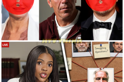 🚨💣 CANDACE OWENS DROPS A CELEBRITY EARTHQUAKE: “They’re Running” — Hollywood’s Elite Allegedly Scramble as Epstein’s Shadow Resurfaces in Explosive Rant That Has Phones Going Silent — What started as a fiery monologue quickly spiraled into a cultural detonation as Owens claimed powerful names are “laying low” and distancing themselves from past associations, reigniting online obsession with flight logs, sealed files, and whispered connections, while stunned viewers watched the internet light up with speculation about who’s hiding, who’s panicking, and whether the silence from A-listers is strategy… or fear 👇