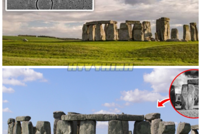 🗿🔥 UNDERGROUND RADAR SCANS SHAKE STONEHENGE: Scientists Reveal Massive Hidden Structures Beneath the Sacred Circle — And It Rewrites What We Thought We Knew — High-resolution ground-penetrating radar and geophysical surveys across the Salisbury Plain have mapped dozens of buried pits, ditches, and ancient construction features surrounding Stonehenge, igniting breathless headlines about a “secret beneath the stones,” while archaeologists explain the real revelation isn’t a lost chamber or alien vault — it’s a far more complex ceremonial landscape stretching far beyond the iconic ring itself 👇