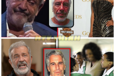 🎬🔥 MEL GIBSON SPEAKS OUT on the Cultural Storm Surrounding Sound of Freedom — Epstein’s Name Reignites Debate Online — In a heated conversation that quickly went viral, Gibson reportedly addressed the broader climate of suspicion and media narratives surrounding high-profile trafficking cases, with viewers instantly connecting dots to past scandals, sparking renewed discussion about how Hollywood, politics, and public outrage intersect in the age of viral speculation 👇