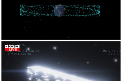 VOYAGER 1’S “FINAL IMAGES” LEFT SCIENTISTS STUNNED — BUT THE REAL TRUTH IS EVEN MORE CHILLING 🌌🚀 When headlines screamed that Voyager 1 sent back terrifying last photos before “going dark,” the drama wrote itself — except there’s one twist most people missed: Voyager 1 stopped taking images decades ago, and what truly unsettled researchers wasn’t a monstrous cosmic shape, but a haunting realization of just how small and fragile Earth looks against the infinite black, a pale dot swallowed by silence, forcing humanity to confront a cosmic loneliness far more unsettling than any alien silhouette 👇