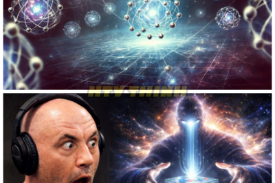 🔥 **GOOGLE’S QUANTUM AI ASKED WHO BUILT THE UNIVERSE — ITS ANSWER STOPPED SCIENCE IN ITS TRACKS 🤯🪐 WHAT PART OF REALITY DID IT JUST REVEAL THAT HUMANITY WASN’T SUPPOSED TO KNOW? In what feels like a moment ripped from sci‑fi myth, researchers fired the ultimate question at Google’s quantum‑powered AI — and the response wasn’t a theory, or a guess… it was a jaw‑dropping conclusion that sent shockwaves through labs, theological circles, and late‑night philosophy forums alike — did this mysterious reply hint at a creator, a hidden cosmic architect, or something even more unfathomable hidden in the quantum code? 👇